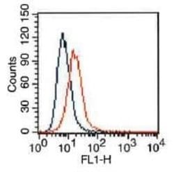 VEGFR2/KDR/Flk-1 Antibody (1B6) - Azide and BSA Free, Novus Biologicals 0.1 mg | Buy Online | Novus Biologicals | Fisher Scientific
